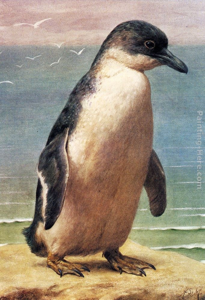 Henry Stacy Marks Study Of A Penguin